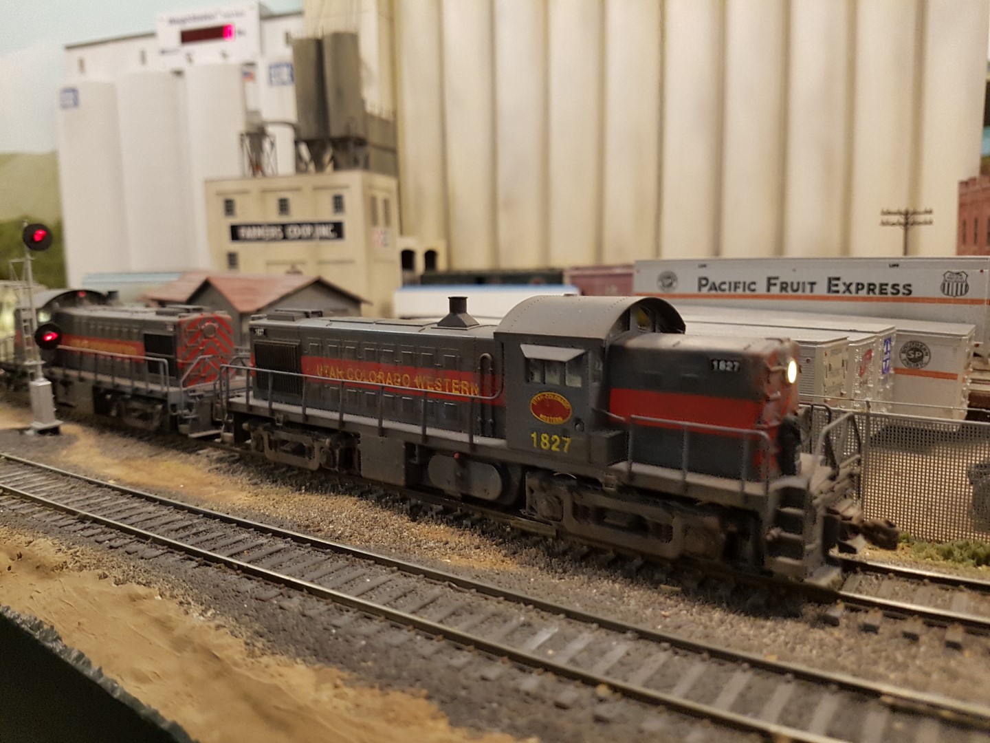 UCW 2019 (8).jpg